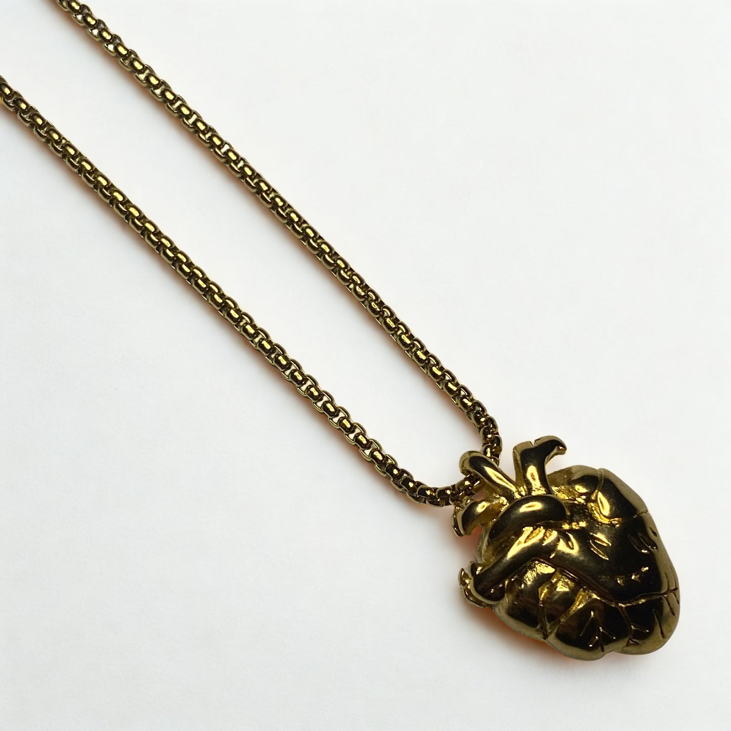 Collar corazón anatomico