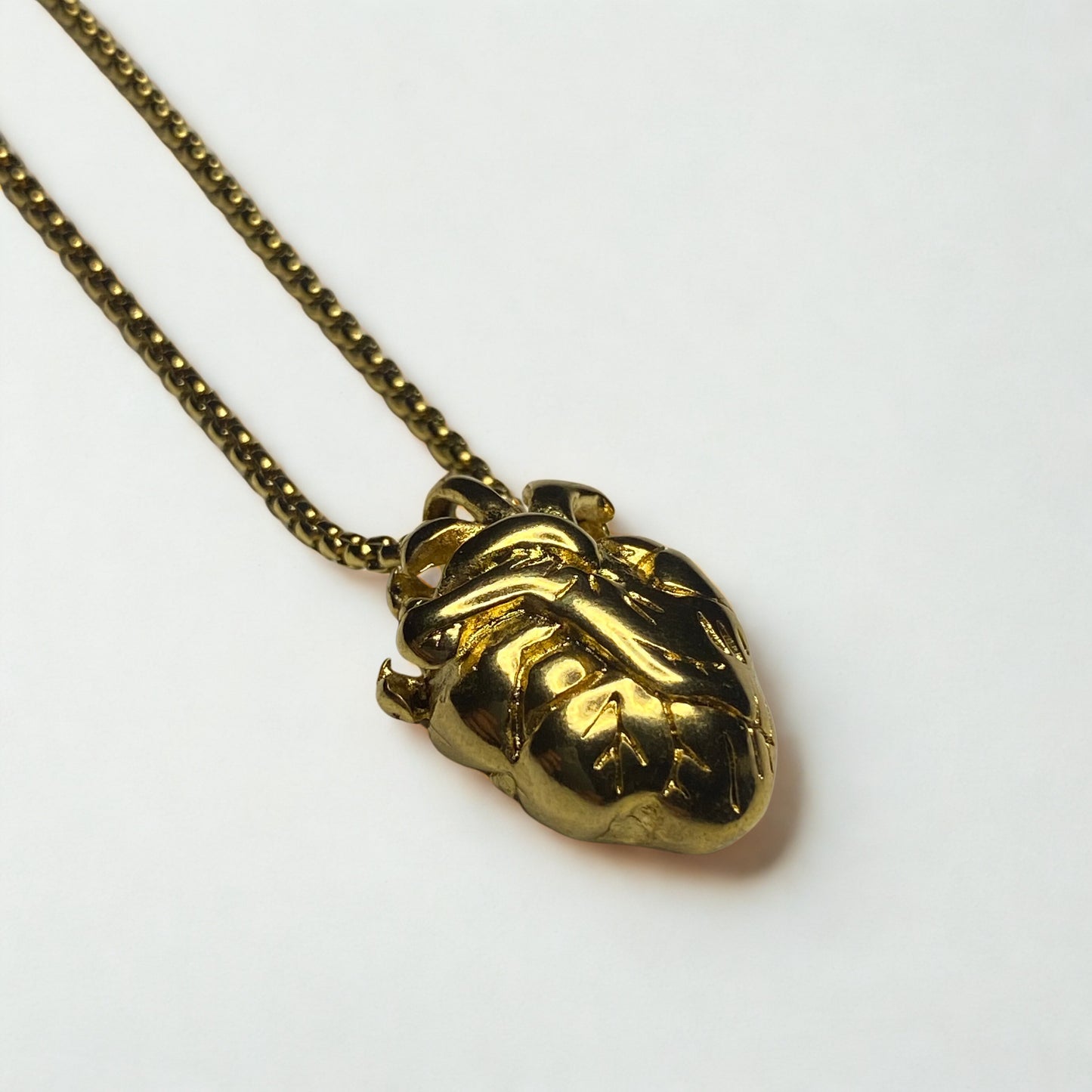 Collar corazón anatomico